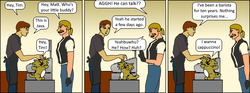 Java 003