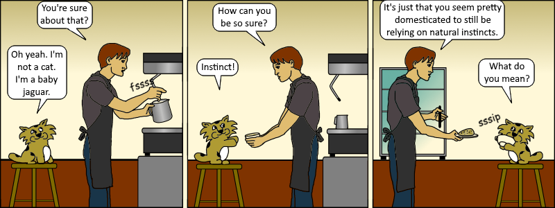 Java 004