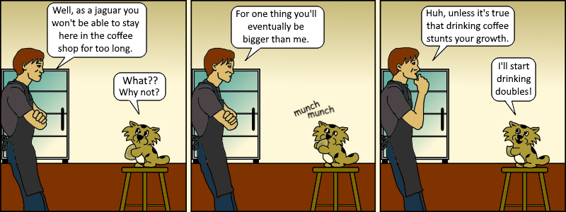Java 005