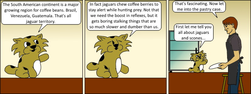 Java 006