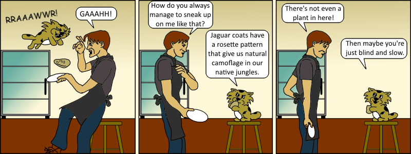 Java 007