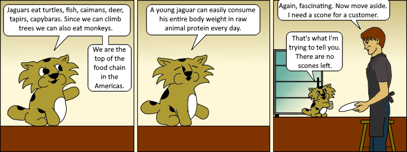 Java 009