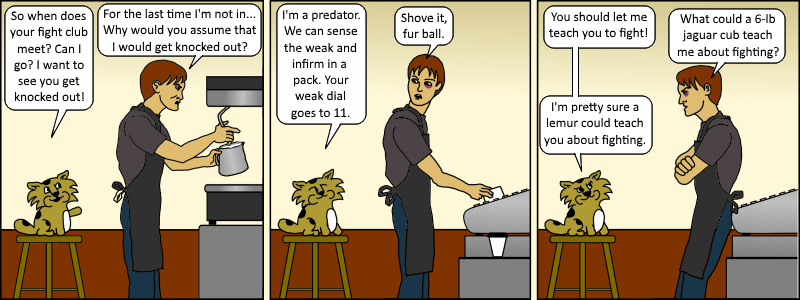 Java 019