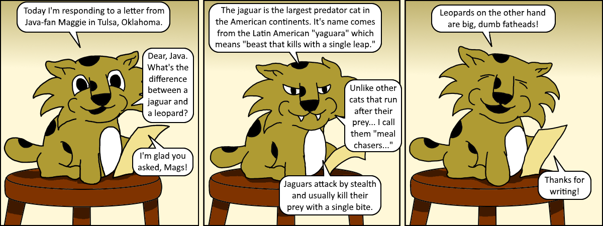 Java 032