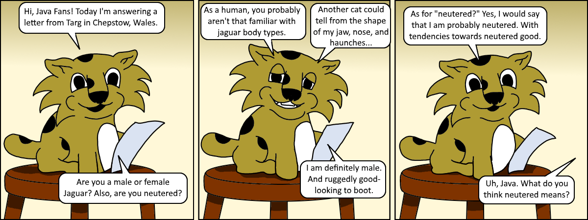Java 033