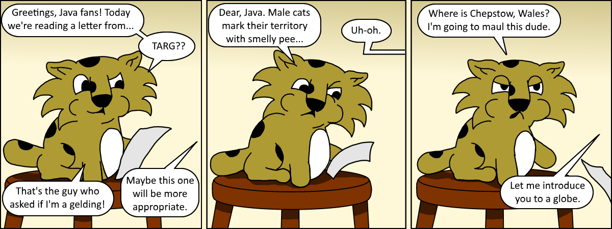 Java 063