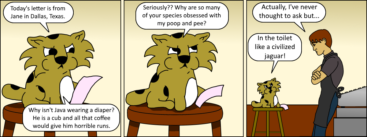 Java 064