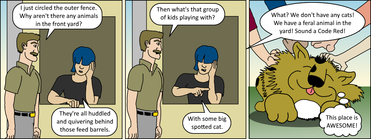 Java 075