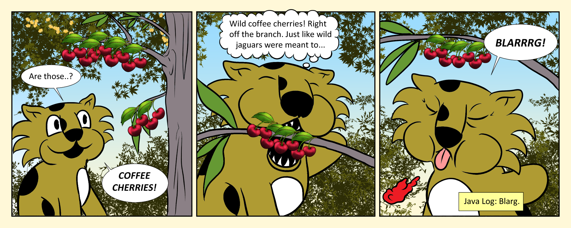 Java 091