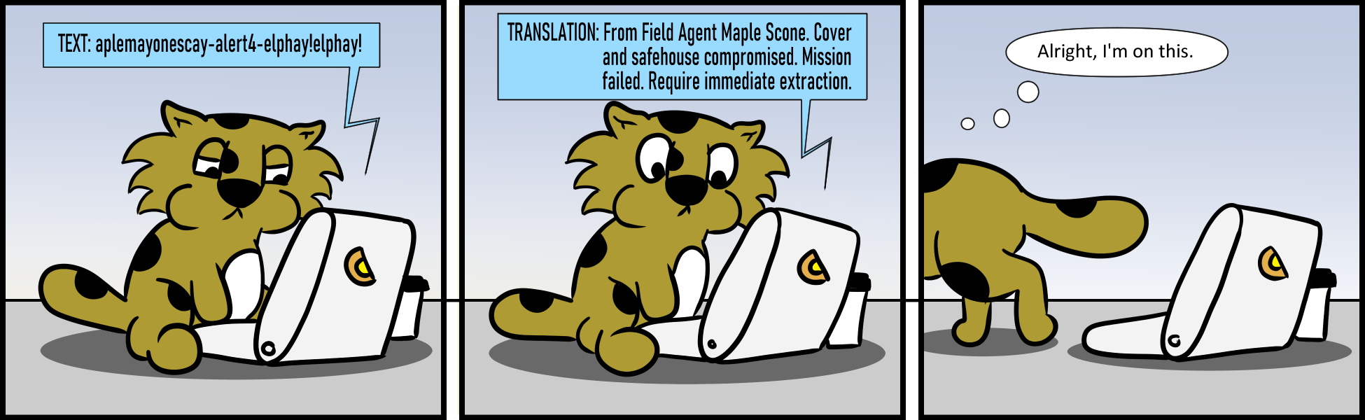 Java 141