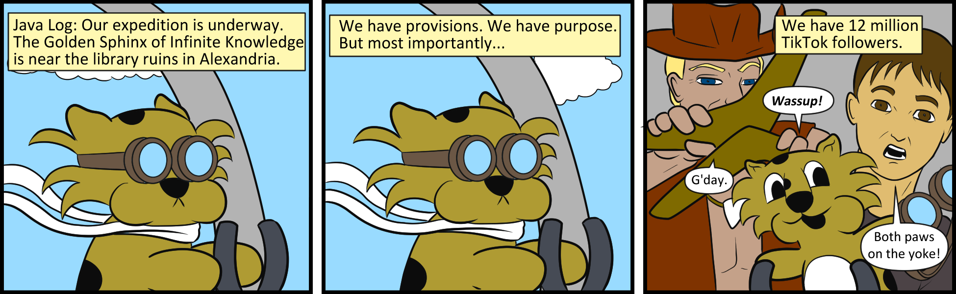 Java 291
